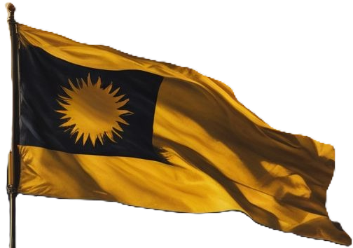 Country Flag